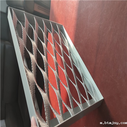 氟碳喷涂铝拉网 (2).jpg