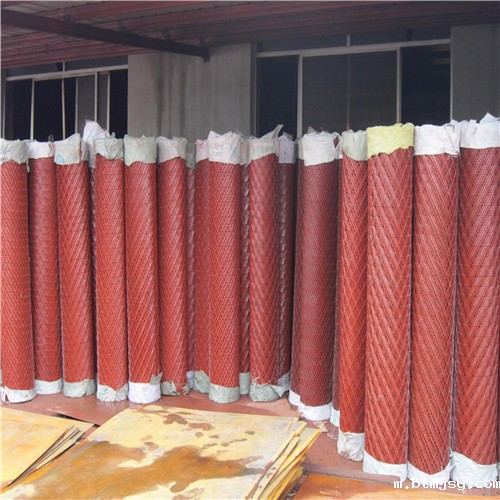 基坑红漆钢板网 (2).jpg